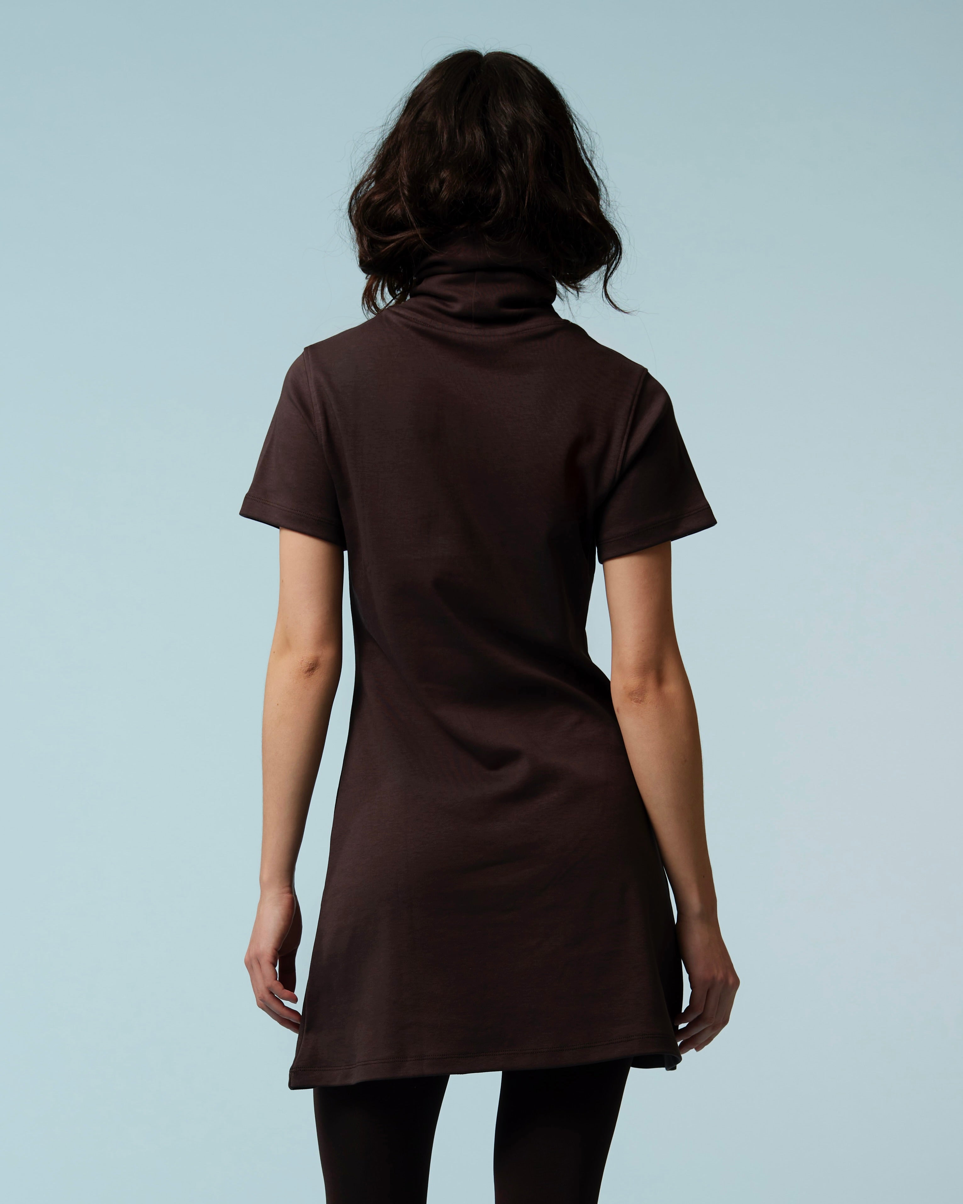 Donna's Short Sleeve Turtleneck Dress