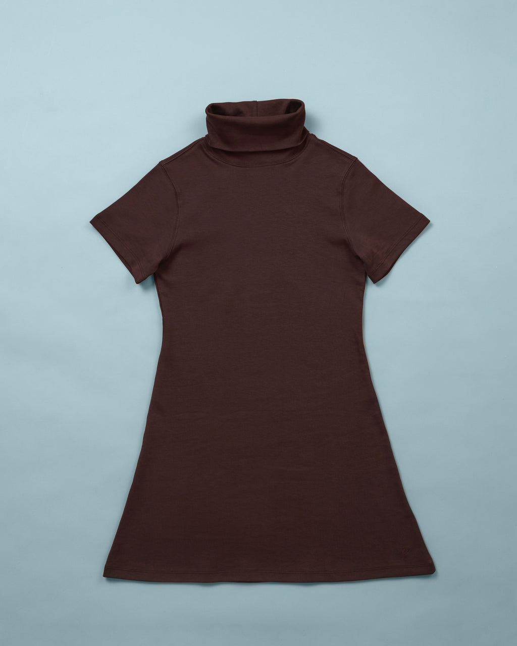 Donna's Short Sleeve Turtleneck Dress