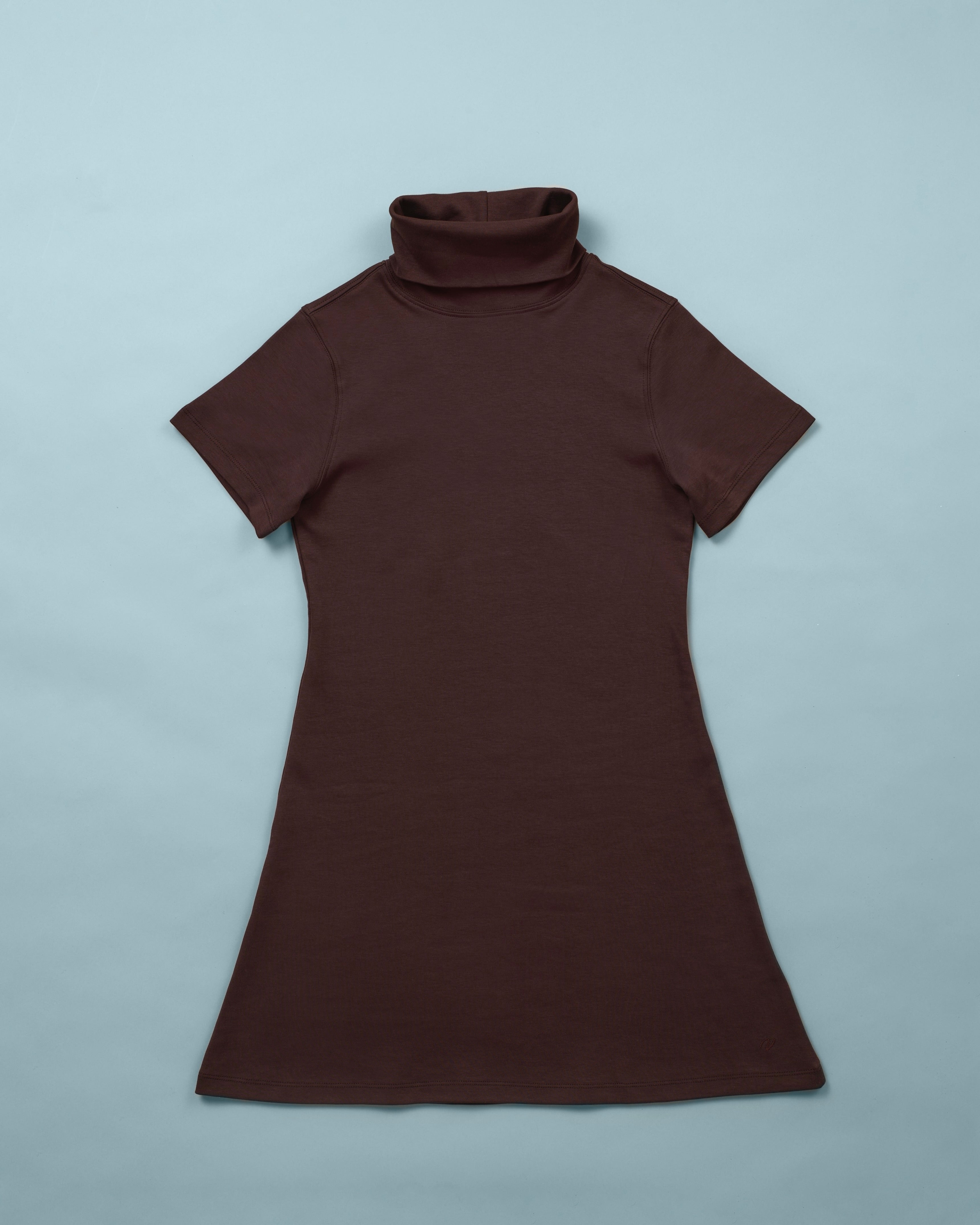 Donna's Short Sleeve Turtleneck Dress